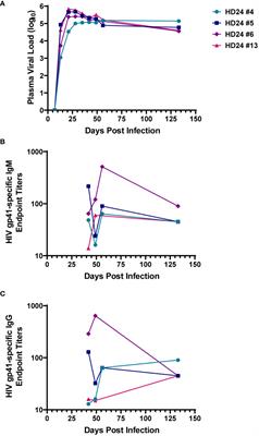 HIV-1 infected humanized DRAGA mice develop HIV-specific antibodies despite lack of canonical germinal centers in secondary lymphoid tissues